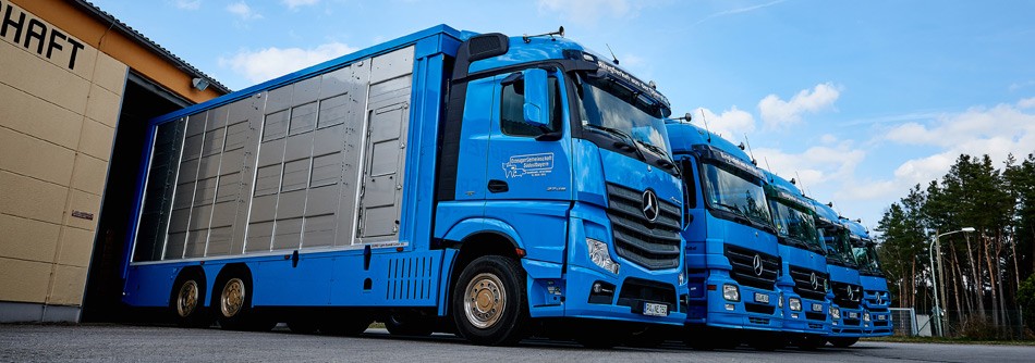 lkw_blau